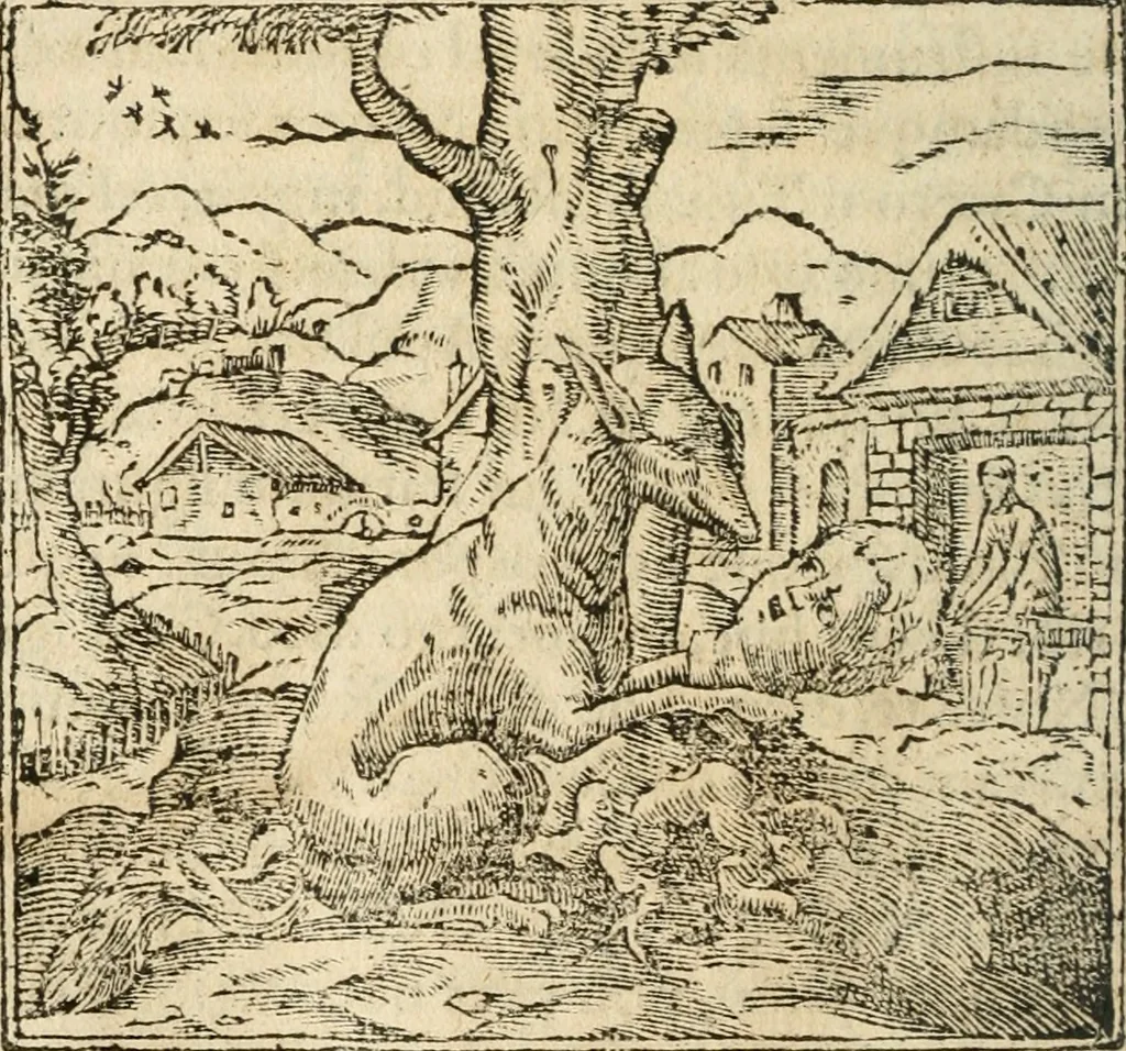 An illustration from Francisci Sanctii Brocensis In inclyta Salmaticensi Academia Rhetoricæ, Graecæque linguæ professoris Comment. in And. Alciati Emblemata : nunc denuò multis in locis accuratè recognita, & quamplurimis figuris illustrata ; cum indice copiosissimo, 1573, leaf 529