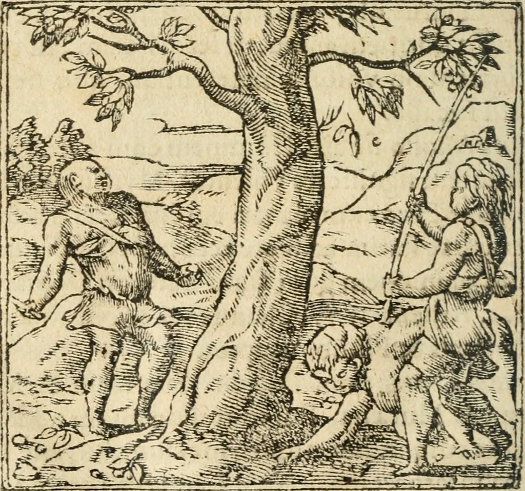 An illustration from Francisci Sanctii Brocensis In inclyta Salmaticensi Academia Rhetoricæ, Graecæque linguæ professoris Comment. in And. Alciati Emblemata : nunc denuò multis in locis accuratè recognita, & quamplurimis figuris illustrata ; cum indice copiosissimo, 1573, leaf 535