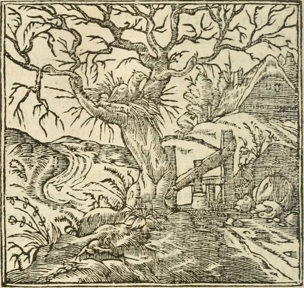 An illustration from Francisci Sanctii Brocensis In inclyta Salmaticensi Academia Rhetoricæ, Graecæque linguæ professoris Comment. in And. Alciati Emblemata : nunc denuò multis in locis accuratè recognita, & quamplurimis figuris illustrata ; cum indice copiosissimo, 1573, leaf 537