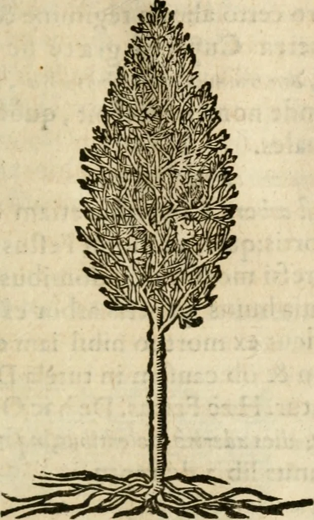 An illustration from Francisci Sanctii Brocensis In inclyta Salmaticensi Academia Rhetoricæ, Graecæque linguæ professoris Comment. in And. Alciati Emblemata : nunc denuò multis in locis accuratè recognita, & quamplurimis figuris illustrata ; cum indice copiosissimo, 1573, leaf 546