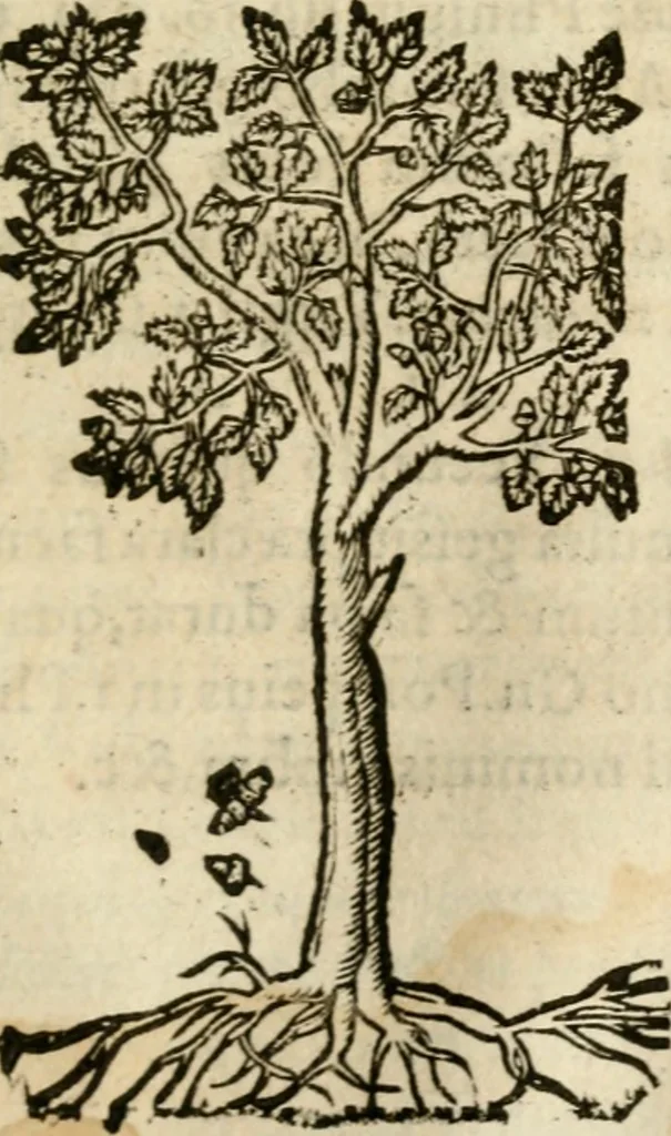 An illustration from Francisci Sanctii Brocensis In inclyta Salmaticensi Academia Rhetoricæ, Graecæque linguæ professoris Comment. in And. Alciati Emblemata : nunc denuò multis in locis accuratè recognita, & quamplurimis figuris illustrata ; cum indice copiosissimo, 1573, leaf 548