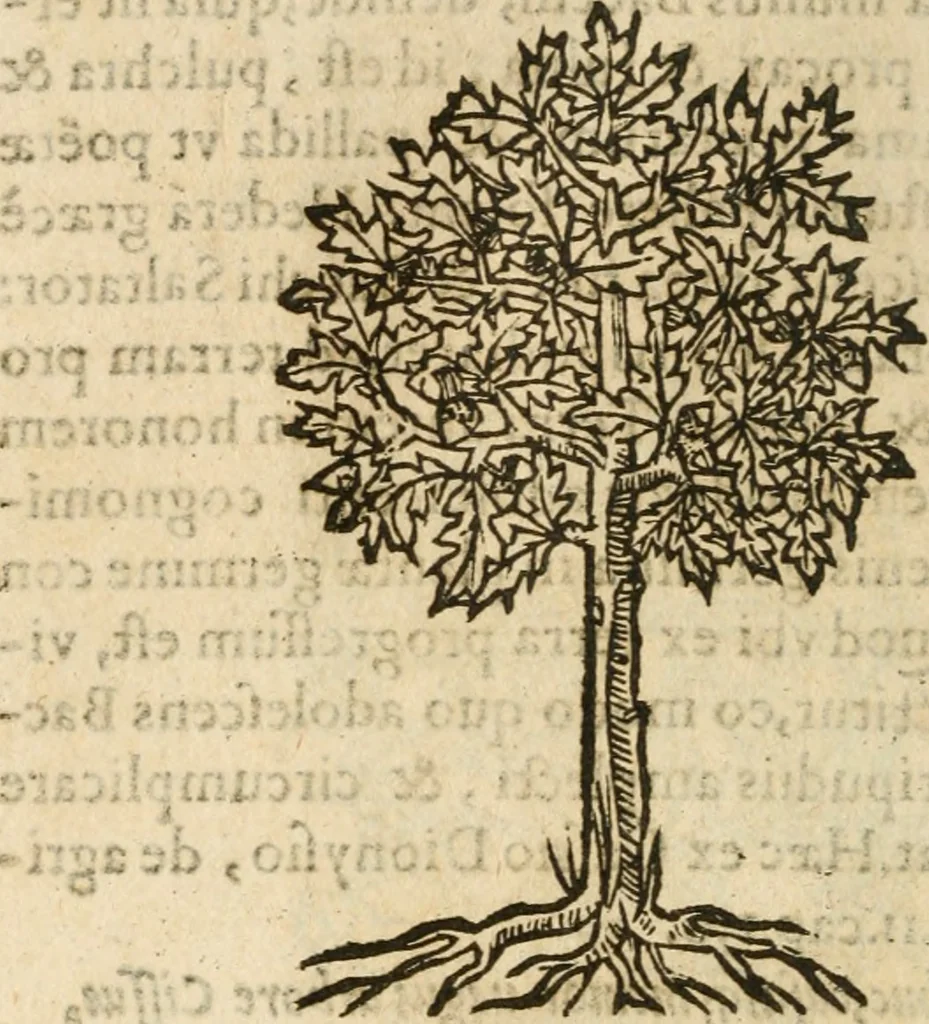 An illustration from Francisci Sanctii Brocensis In inclyta Salmaticensi Academia Rhetoricæ, Graecæque linguæ professoris Comment. in And. Alciati Emblemata : nunc denuò multis in locis accuratè recognita, & quamplurimis figuris illustrata ; cum indice copiosissimo, 1573, leaf 557