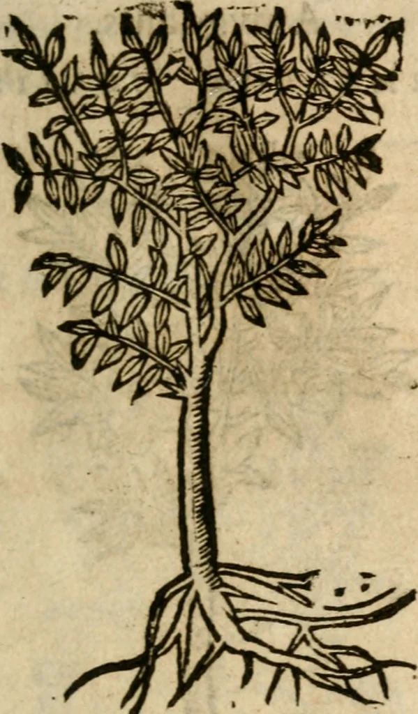 An illustration from Francisci Sanctii Brocensis In inclyta Salmaticensi Academia Rhetoricæ, Graecæque linguæ professoris Comment. in And. Alciati Emblemata : nunc denuò multis in locis accuratè recognita, & quamplurimis figuris illustrata ; cum indice copiosissimo, 1573, leaf 560