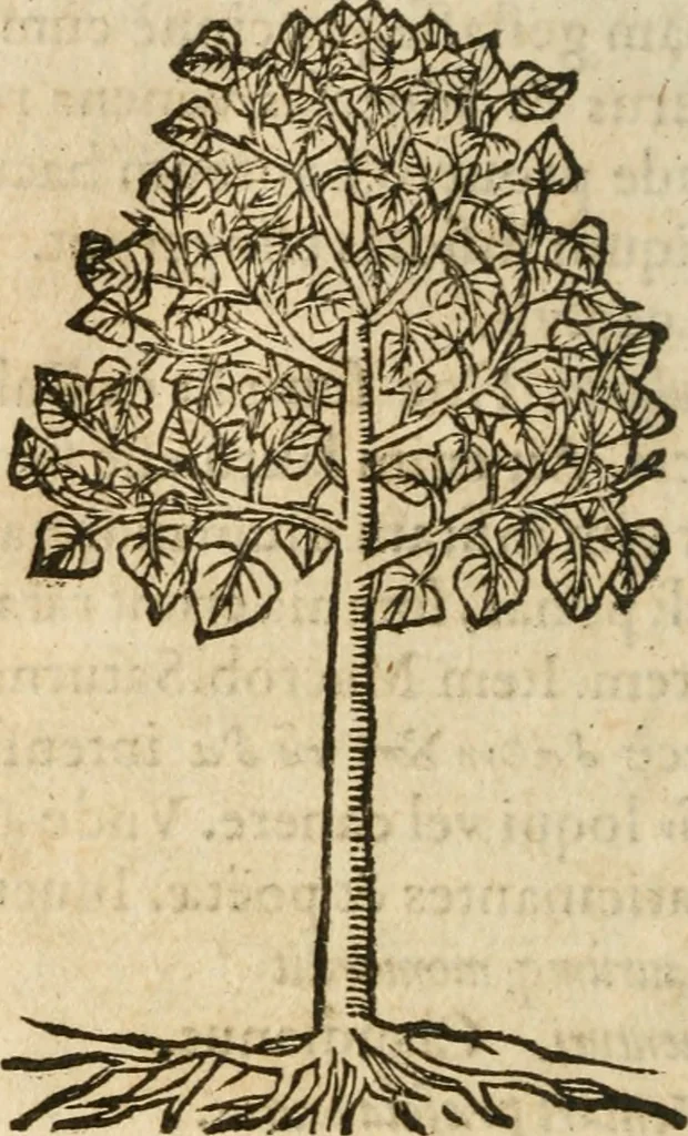 An illustration from Francisci Sanctii Brocensis In inclyta Salmaticensi Academia Rhetoricæ, Graecæque linguæ professoris Comment. in And. Alciati Emblemata : nunc denuò multis in locis accuratè recognita, & quamplurimis figuris illustrata ; cum indice copiosissimo, 1573, leaf 565