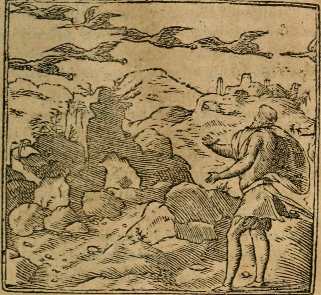An illustration from Francisci Sanctii Brocensis In inclyta Salmaticensi Academia Rhetoricæ, Graecæque linguæ professoris Comment. in And. Alciati Emblemata : nunc denuò multis in locis accuratè recognita, & quamplurimis figuris illustrata ; cum indice copiosissimo, 1573, leaf 88