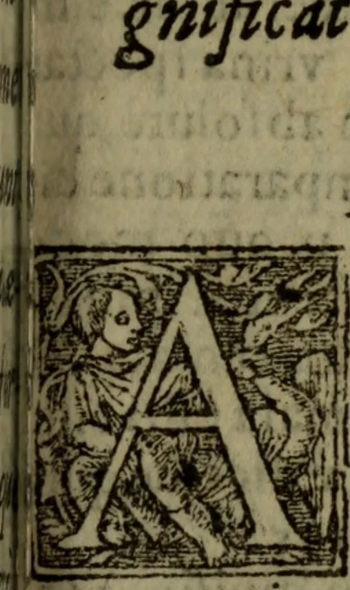 An illustration from Francisci Vallessii Covarrubiani ... De vrinis, pulsibus, ac febribus compendiariae tractationes .., 1588, leaf 240