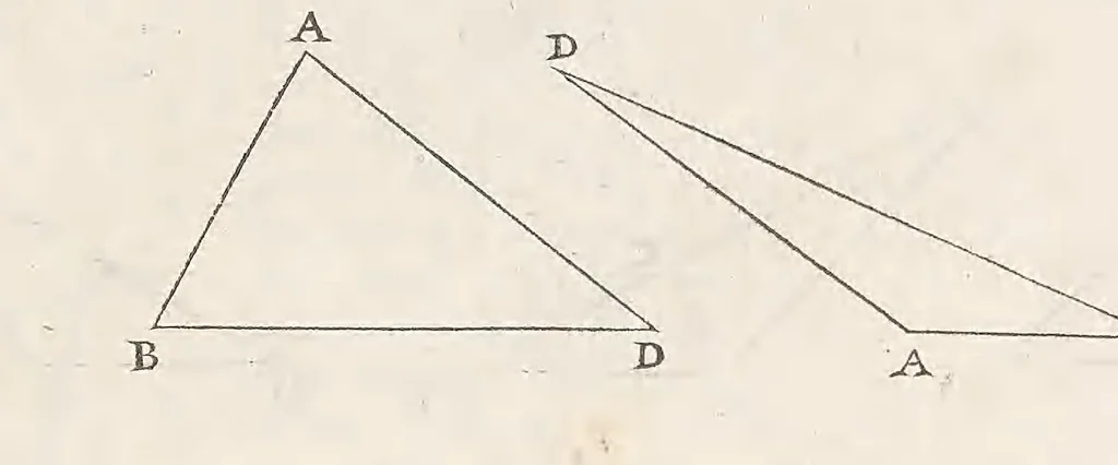 An illustration from Francisci Vietæi Opera mathematica : in quibus tractatur Canon mathematicus, seu ad triangula : item canonion triangulorum latetum rationalium, vnà cum Vniuersalium inspectionum ad canonem mathematicum, libro singulari, 1589, leaf 195
