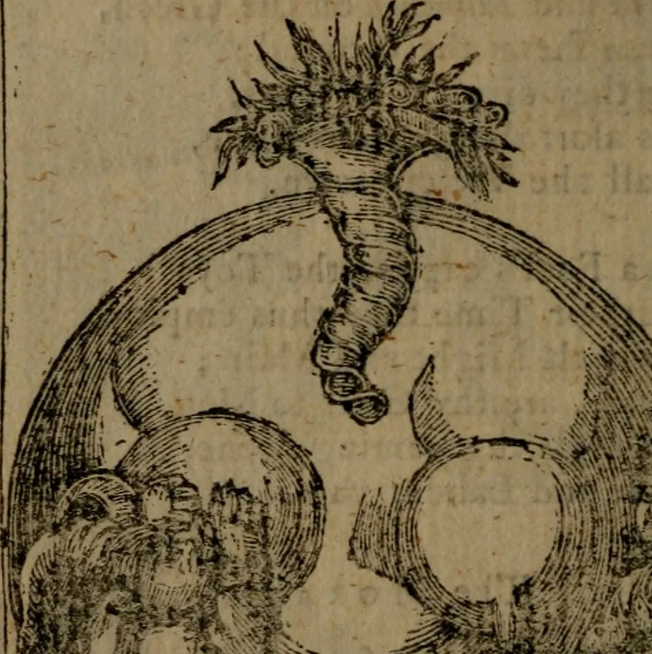 An illustration from Francis Quarles' Emblems and : Hieroglyphics of the life of man, modernized : in four books, 1773, leaf 35