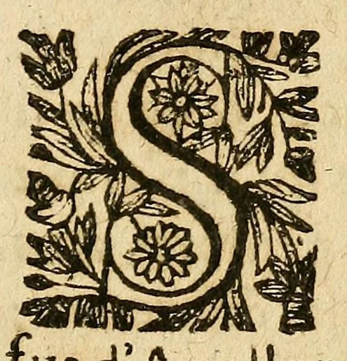 An illustration from Francophilie presentee av Roy, svr la resolvtion de son voyage, 1622, leaf 3