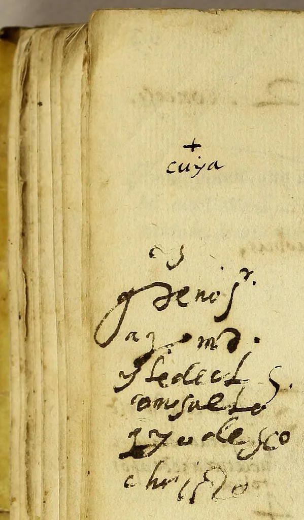 An illustration from Fratris Alphonsi a Veracruce in sacra theologia magistri ordinis haeremitarum sancti Augustini ad candidum lectorem exhortatio. : Candide lector, omnium preuilegiorum compendium, illorum maxime concessorum ordinibus mendicantiu[m] pro conuersione infidelium, & profectu & manutenentia eorum in fide, ., 1570, leaf 140