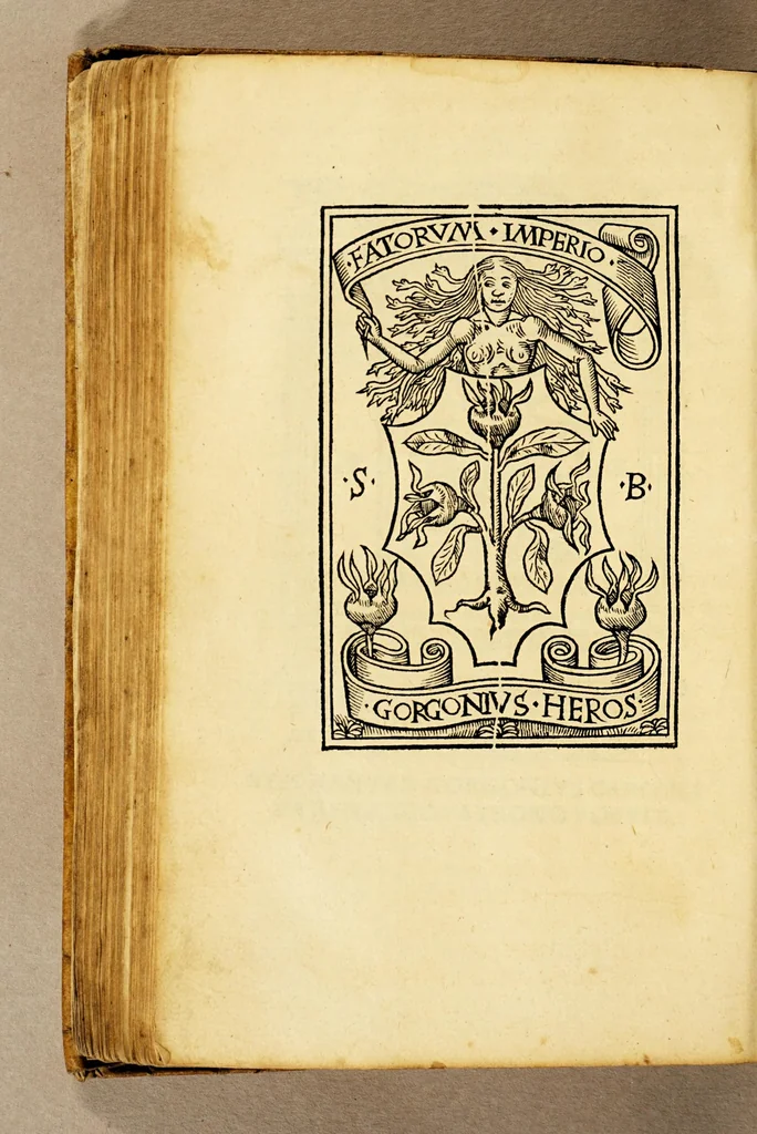 An illustration from Fratris Baptistae Mantuani Carmelitae theologie ad Ptolemeum Gonza. Virum magnificum equitemque auratum contra detractores dialogus, 1516, leaf 156