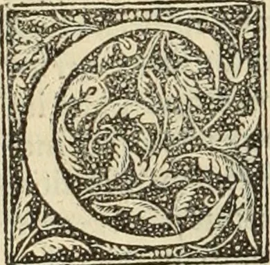 An illustration from Fratris Dominici Soto Segouiensis, theologi De iustitia & iure : libri decem, 1553, leaf 223