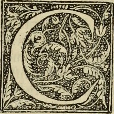 An illustration from Fratris Dominici Soto Segouiensis, theologi De iustitia & iure : libri decem, 1553, leaf 24