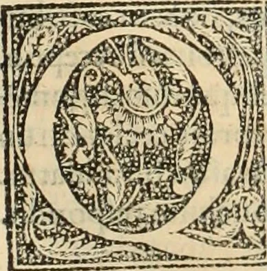 An illustration from Fratris Dominici Soto Segouiensis, theologi De iustitia & iure : libri decem, 1553, leaf 281