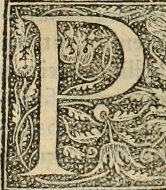 An illustration from Fratris Dominici Soto Segouiensis, theologi De iustitia & iure : libri decem, 1553, leaf 298