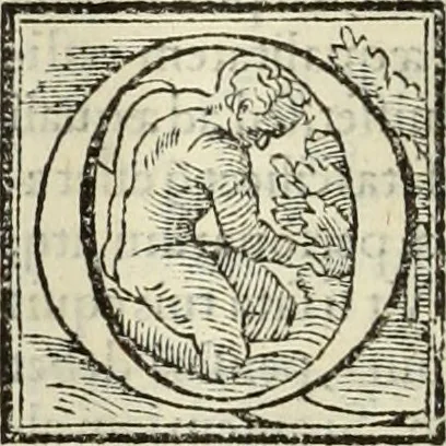 An illustration from Fratris Dominici Soto Segouiensis, theologi De iustitia & iure : libri decem, 1553, leaf 359