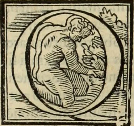 An illustration from Fratris Dominici Soto Segouiensis, theologi De iustitia & iure : libri decem, 1553, leaf 468