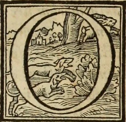 An illustration from Fratris Dominici Soto Segouiensis, theologi De iustitia & iure : libri decem, 1553, leaf 6