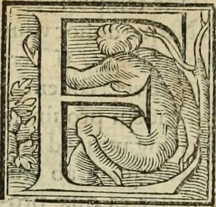 An illustration from Fratris Dominici Soto Segouiensis, theologi De iustitia & iure : libri decem, 1553, leaf 610