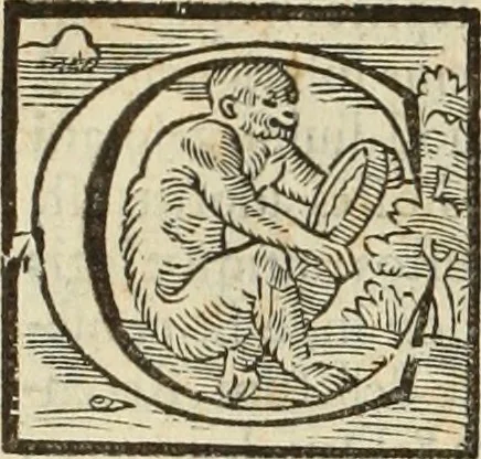 An illustration from Fratris Dominici Soto Segouiensis, theologi De iustitia & iure : libri decem, 1553, leaf 633