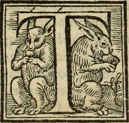 An illustration from Fratris Dominici Soto Segouiensis, theologi De iustitia & iure : libri decem, 1553, leaf 754