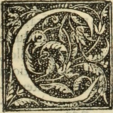 An illustration from Fratris Dominici Soto Segouiensis, theologi De iustitia & iure : libri decem, 1553, leaf 813