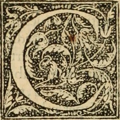 An illustration from Fratris Dominici Soto Segouiensis, theologi De iustitia & iure : libri decem, 1553, leaf 9