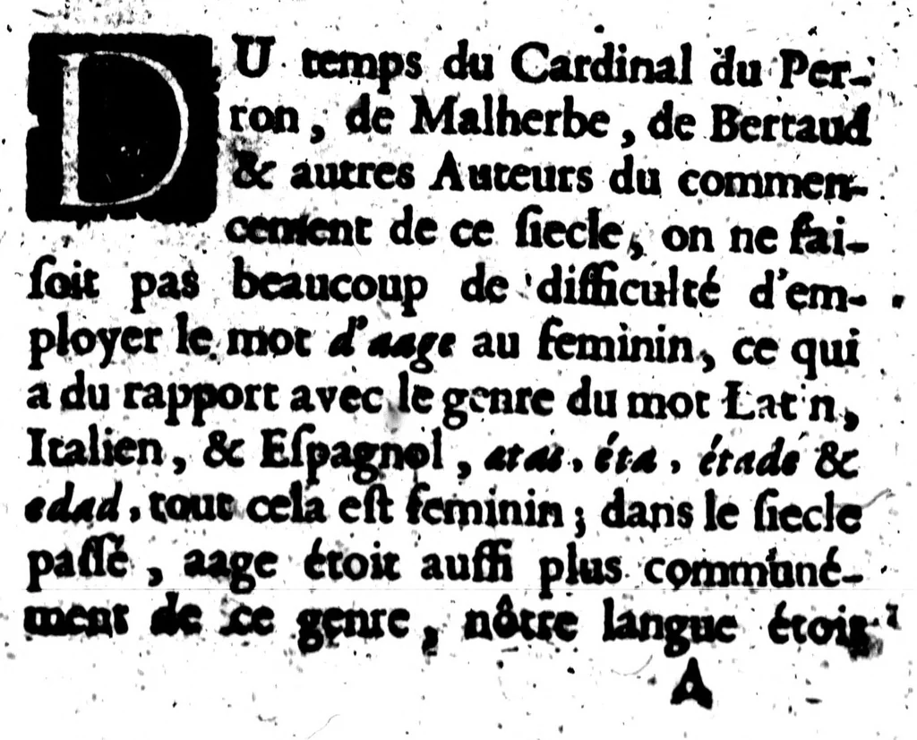 An illustration from Nouvelles observations [microforme] : ou, Guerre civile des françois, sur la langue, 1688, leaf 31