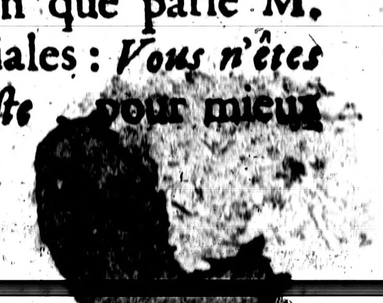 An illustration from Nouvelles observations [microforme] : ou, Guerre civile des françois, sur la langue, 1688, leaf 503