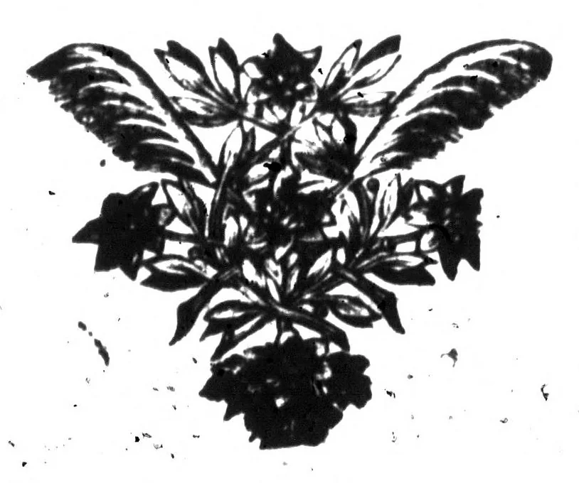 An illustration from Les entretiens d'Ariste et d'Eugene [microforme], 1671, leaf 501