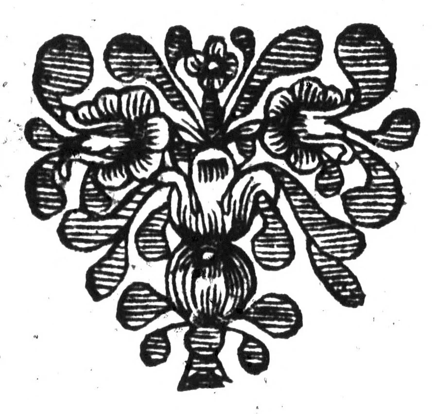 An illustration from Doutes sur la langue françoise [microforme] : proposez à messieurs de l'académie françoise, 1674, leaf 253