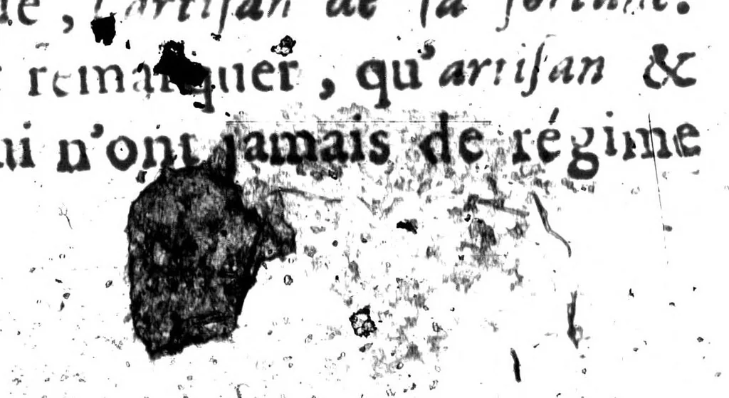 An illustration from Remarques nouvelles sur la langue françoise [microforme], 1675, leaf 106