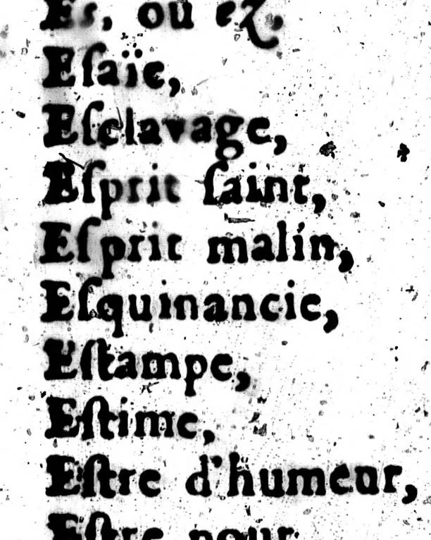 An illustration from Le Génie de la langue françoise. Suite du génie de la langue françoise. [microforme], 1685, leaf 786