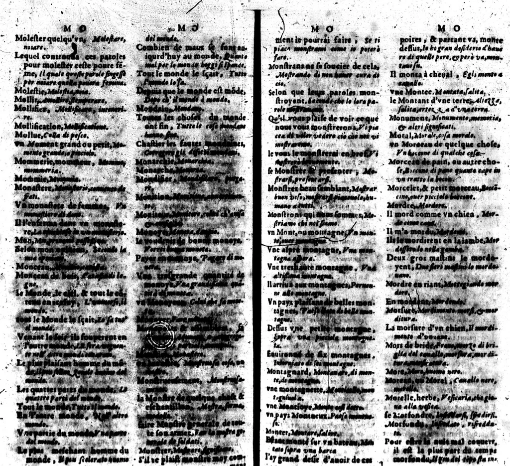 An illustration from Dictionnaire françois et italien [microforme], 1603, leaf 195
