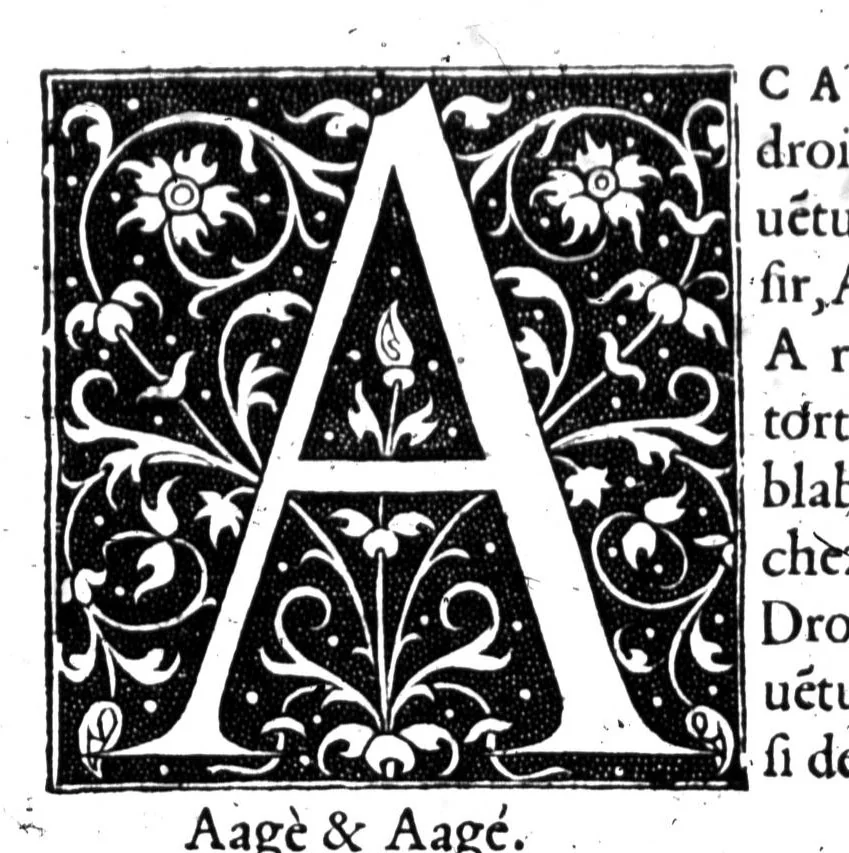 An illustration from Dictionnaire francoislatin, contenant les mots & manières de parler francois, tournez en latin [microforme], 1539, leaf 11