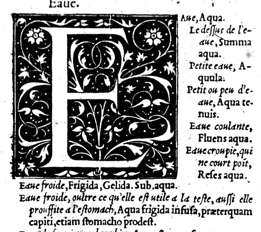 An illustration from Dictionnaire francoislatin, contenant les mots & manières de parler francois, tournez en latin [microforme], 1539, leaf 171