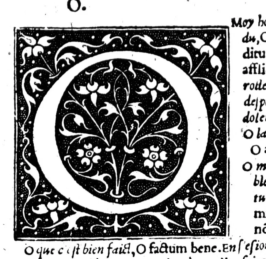 An illustration from Dictionnaire francoislatin, contenant les mots & manières de parler francois, tournez en latin [microforme], 1539, leaf 341
