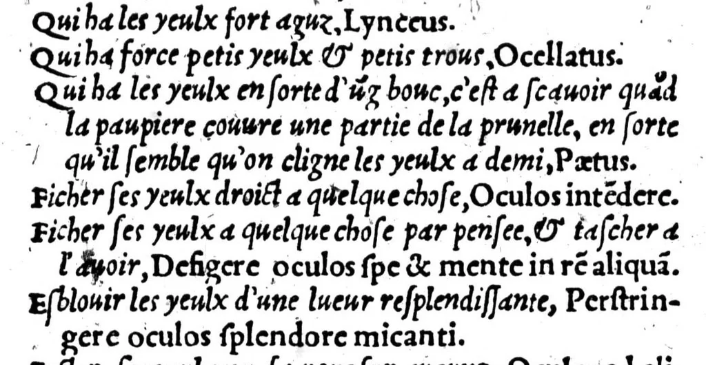 An illustration from Dictionnaire francoislatin, contenant les mots & manières de parler francois, tournez en latin [microforme], 1539, leaf 407