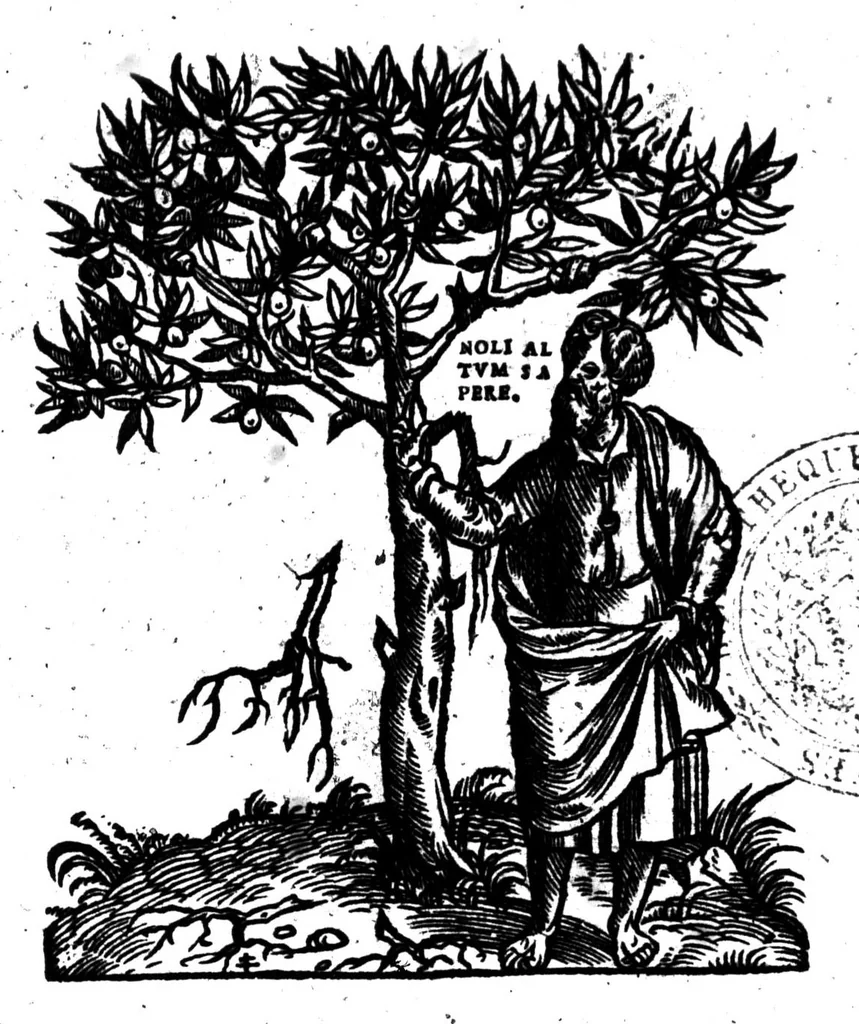 An illustration from Dictionnaire francoislatin, contenant les mots & manières de parler francois, tournez en latin [microforme], 1539, leaf 9
