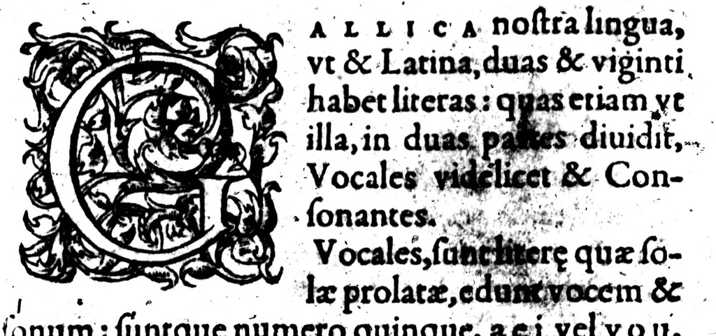 An illustration from Traicté de la gràmaire francoise [microforme], 1569, leaf 161