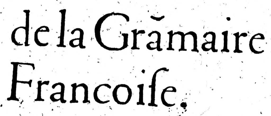 An illustration from Traicté de la gràmaire francoise [microforme], 1569, leaf 17