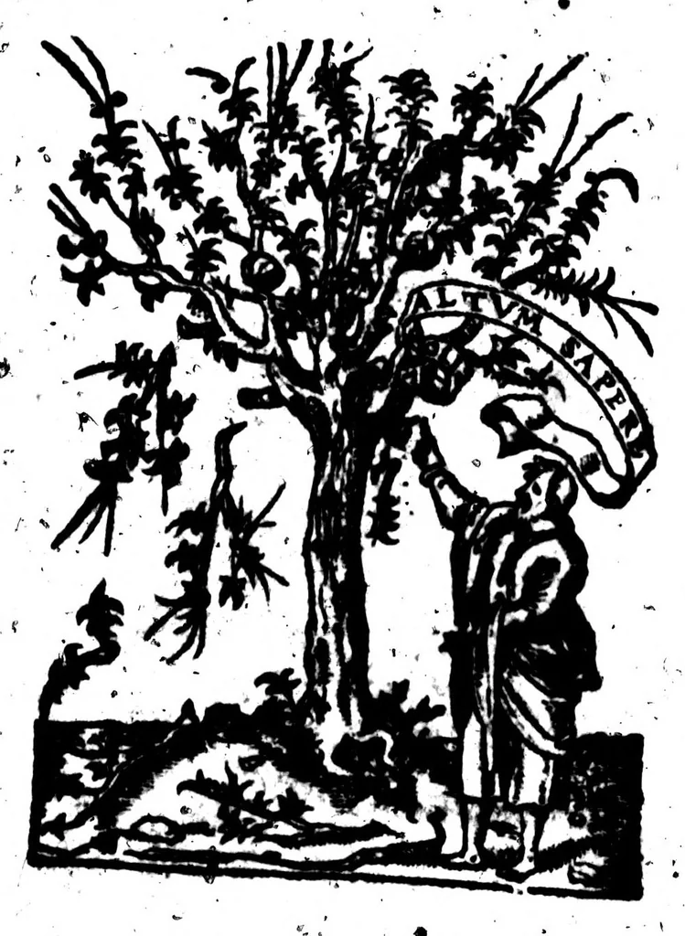 An illustration from Traicté de la gràmaire francoise [microforme], 1569, leaf 17