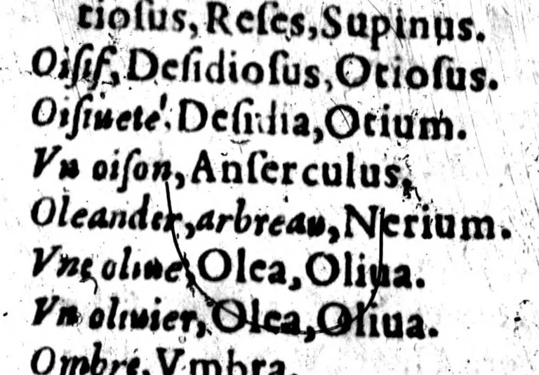 An illustration from Les mots francois selon l'ordre des lettres, ainsi qu'il faut escrire, tournez en latin pour les enfans [microforme], 1567, leaf 136