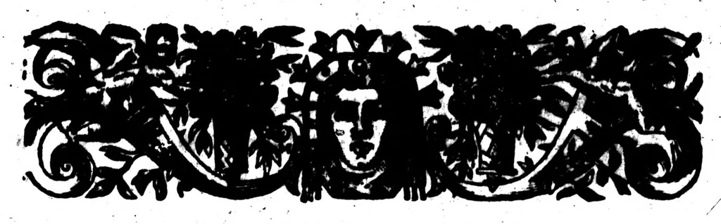 An illustration from Thrésor de l'histoire des langues de cest univers ... [microforme], 1613, leaf 27