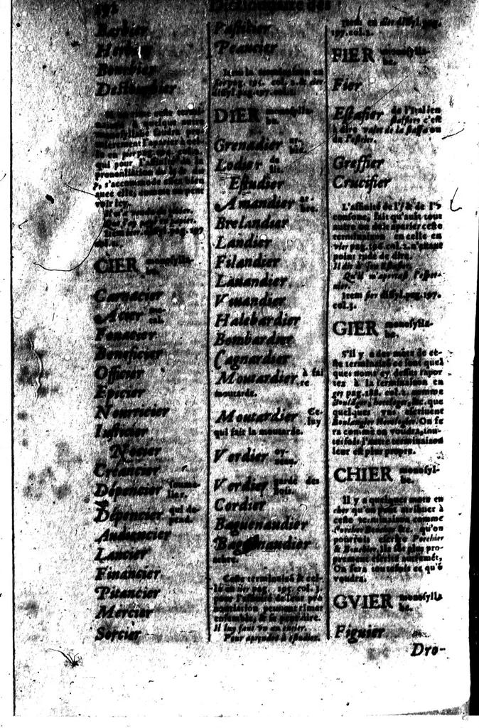 An illustration from Le dictionnaire des rimes françoises [microforme], 1596, leaf 208