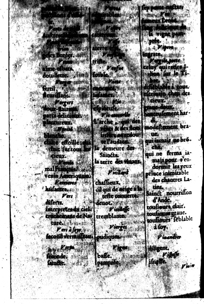 An illustration from Le dictionnaire des rimes françoises [microforme], 1596, leaf 506