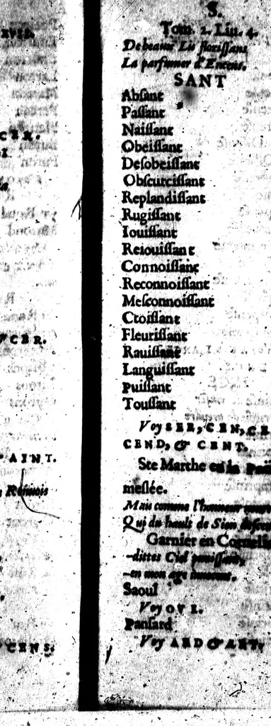 An illustration from Promptuaire d'unisons ordonné et disposé méthodiquement. Pour tous ceux qui voudront composer promptement en vers françois [microforme], 1585, leaf 361
