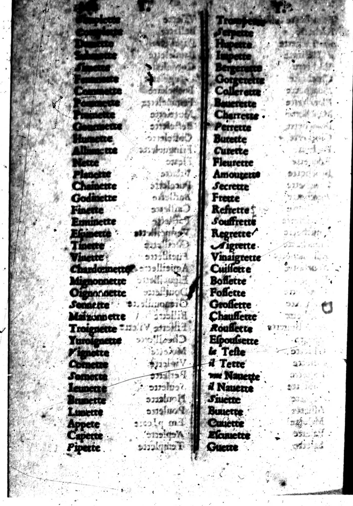 An illustration from Promptuaire d'unisons ordonné et disposé méthodiquement. Pour tous ceux qui voudront composer promptement en vers françois [microforme], 1585, leaf 402