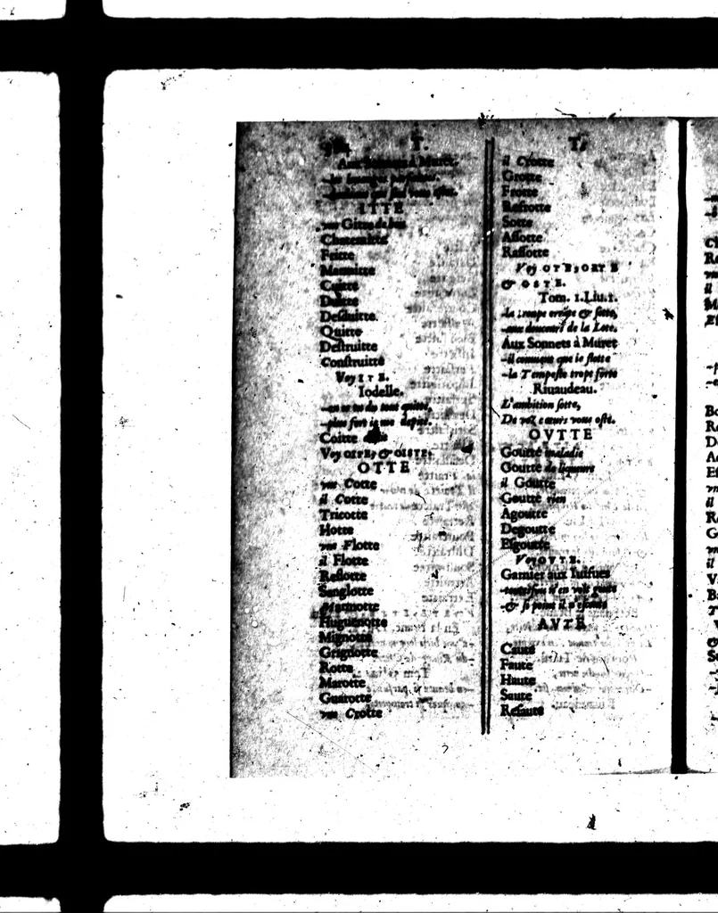 An illustration from Promptuaire d'unisons ordonné et disposé méthodiquement. Pour tous ceux qui voudront composer promptement en vers françois [microforme], 1585, leaf 404