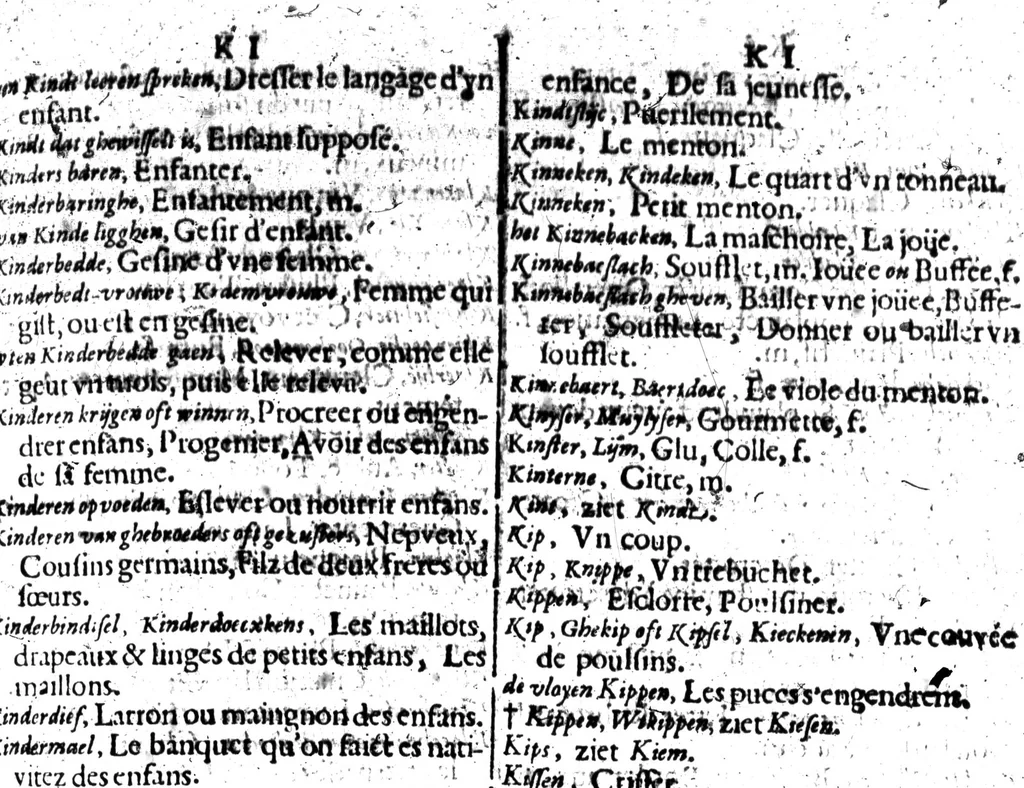 An illustration from Dictionnaire, ou, Promptuaire françois-flameng [microforme], 1602, leaf 739